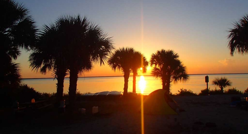 The sun sets on the horizon of a body of water. There are palm trees in the foreground. 
